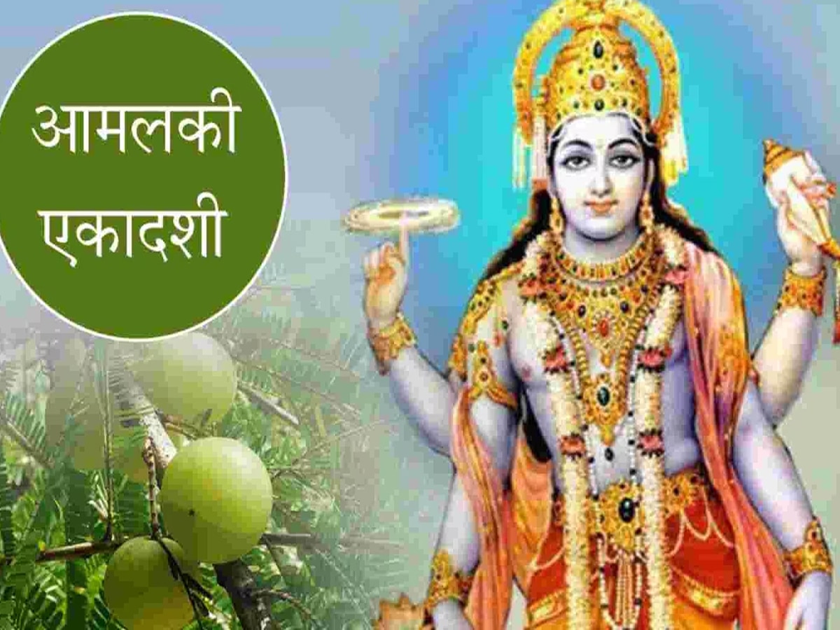 Amalaki Ekadashi: कब है आमलकी एकादशी, 20 या 21 मार्च? जानें सही तारीख, शुभ मुहूर्त और चमत्‍कारिक उपाय 