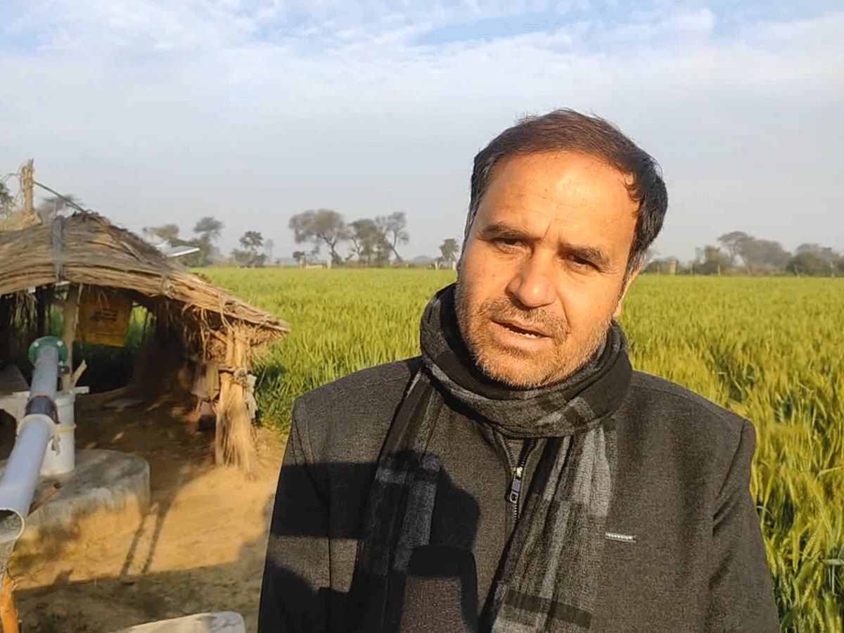 Haryana News: ऑर्गेनिक सब्जियां उगाकर ये किसान कमा रहा है दोहरा मुनाफा, युवाओं से भी की ये अपील