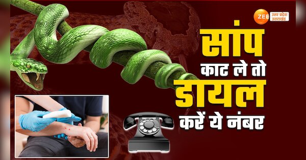 central government releases helpline number and action plan for ...