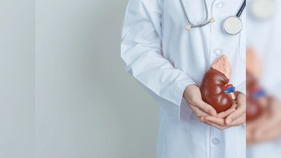 World kidney Day 2024: ଆଜି ‘ବିଶ୍ବ କିଡ଼ନୀ ଦିବସ’ ଜାଣନ୍ତୁ ଏହାର ଲକ୍ଷଣ ଓ ପ୍ରତିକାର 
