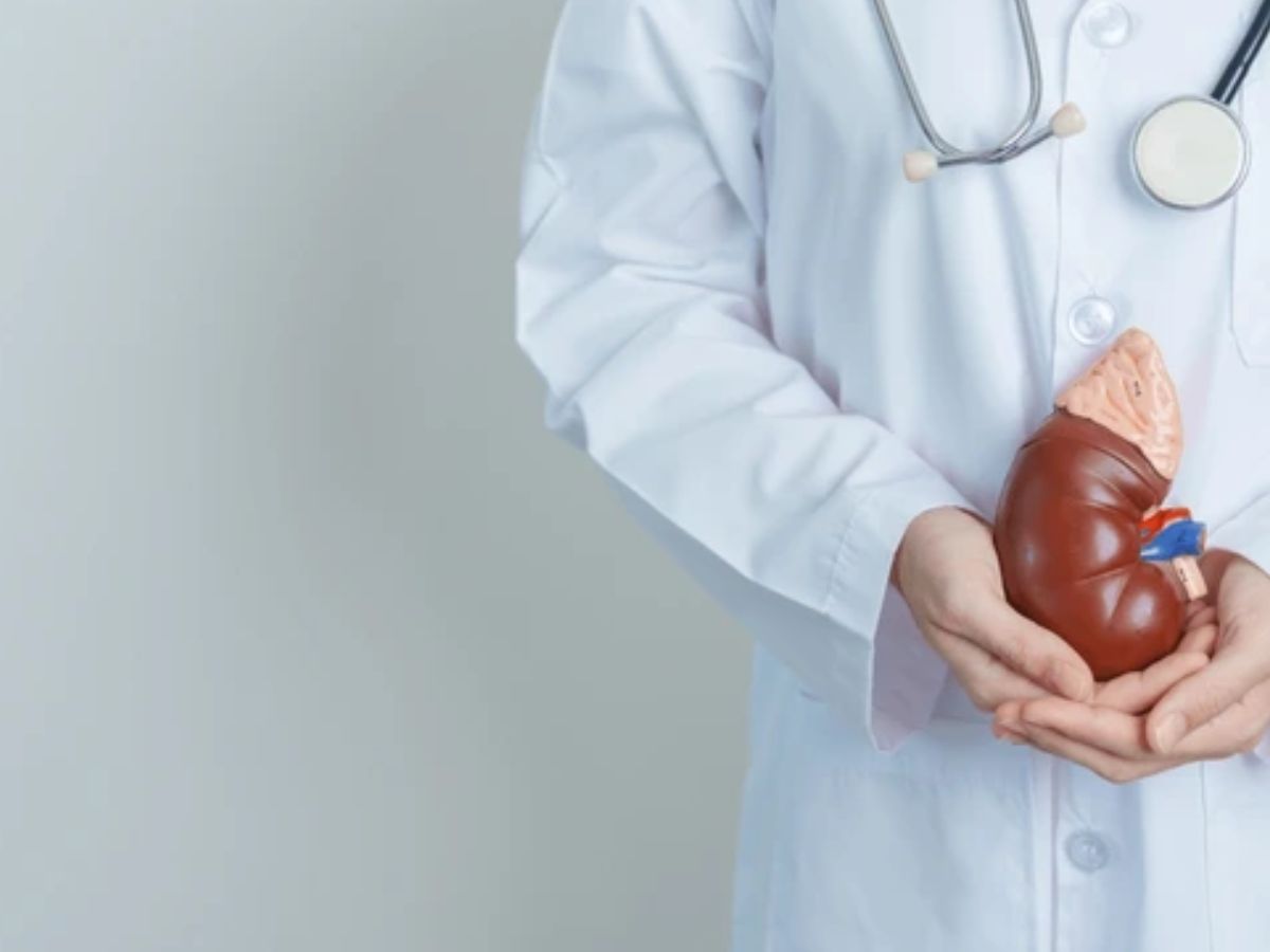 World kidney Day 2024: ଆଜି ‘ବିଶ୍ବ କିଡ଼ନୀ ଦିବସ’ ଜାଣନ୍ତୁ ଏହାର ଲକ୍ଷଣ ଓ ପ୍ରତିକାର World kidney Day 2024: ଆଜି ‘ବିଶ୍ବ କିଡ଼ନୀ ଦିବସ’ ଜାଣନ୍ତୁ ଏହାର ଲକ୍ଷଣ ଓ ପ୍ରତିକାର
