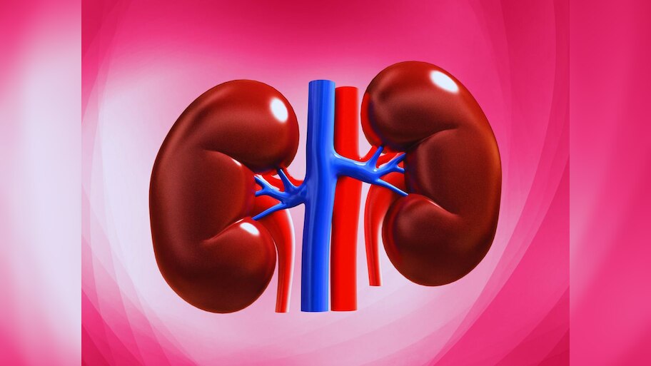 World Kidney Day 2024: क्या ज्यादा दवा खाना करता है किडनी खराब? जानें क्या है पूरी सच्चाई?
