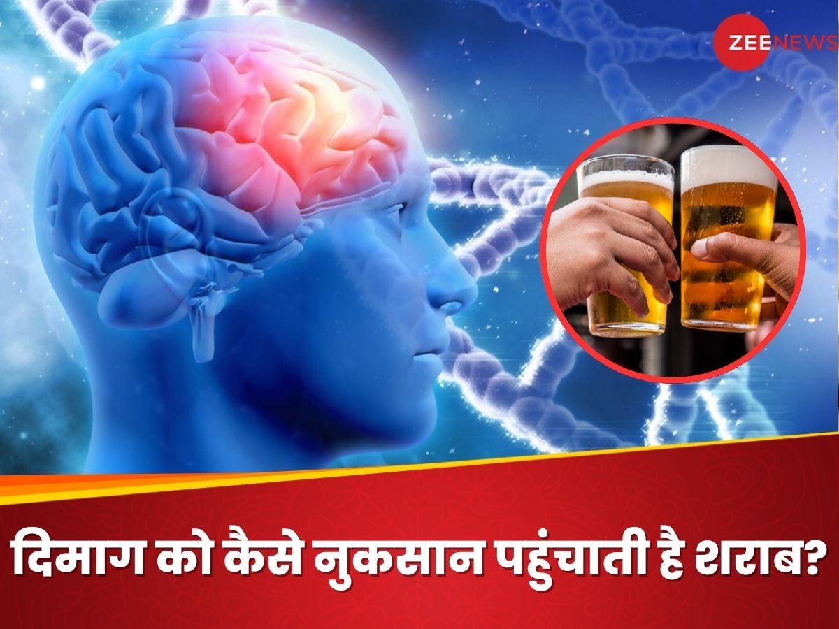 सोचने-समझने की शक्ति छीन लेती है शराब, जानिए दिमाग पर कैसे पड़ता है बुरा असर?