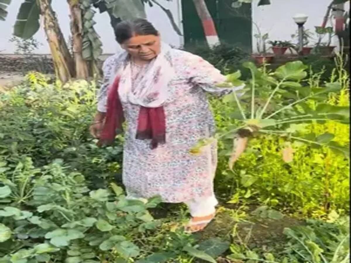 बिहार की पूर्व CM राबड़ी देवी खेतों में मूली उखाड़ती हुई आईं नजर; सादगी भरा वीडियो हुआ वायरल