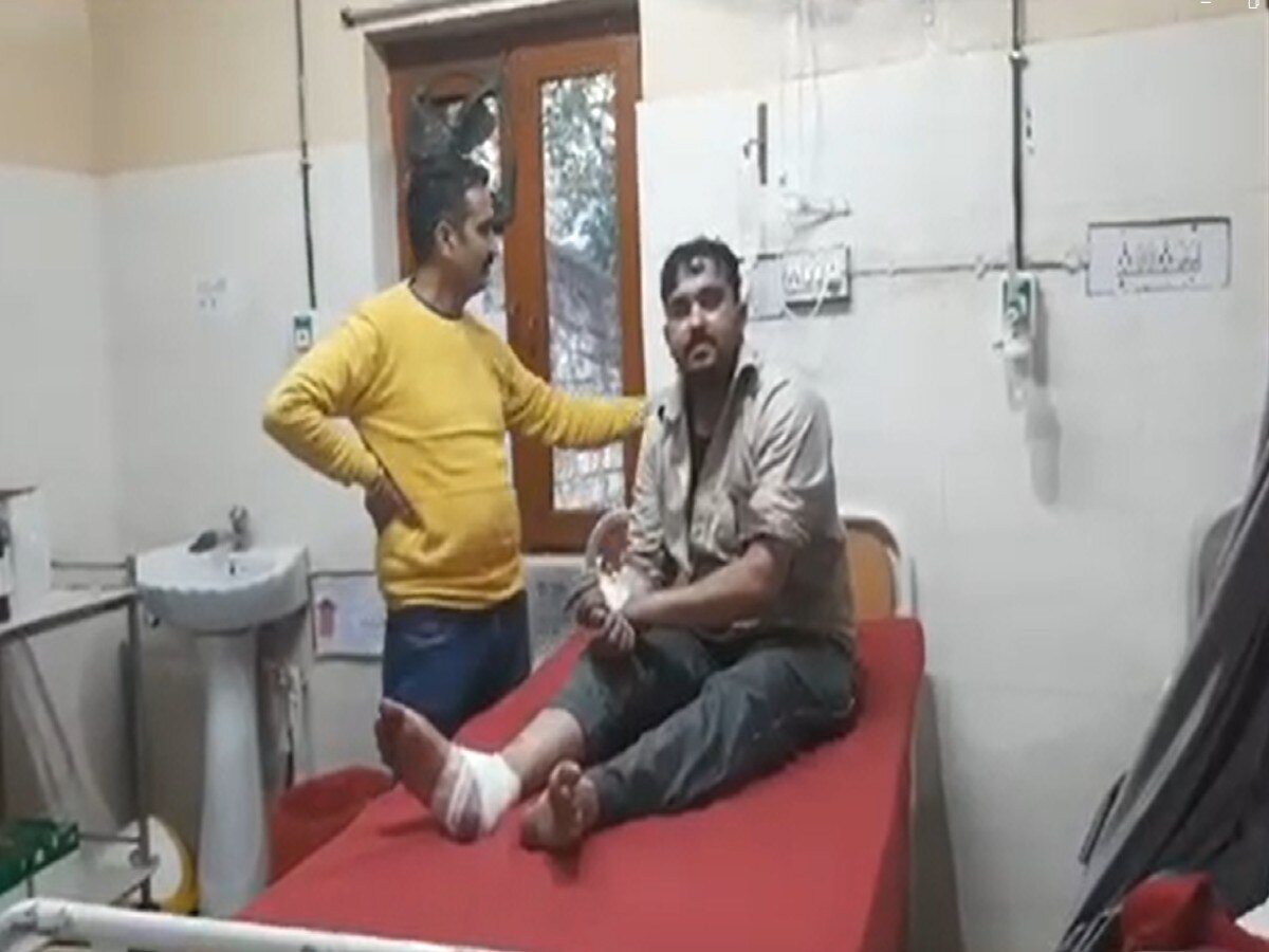 Himachal Pradesh News: बिलासपुर में डॉग ने 20 लोगों पर हमला कर किया बुरी तरह घायल 