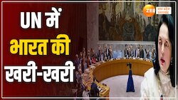 UN में पाकिस्तान-चीन का एजेंडा बेनकाब, CAA और राम मंदिर के जिक्र पर जमकर लताड़ा