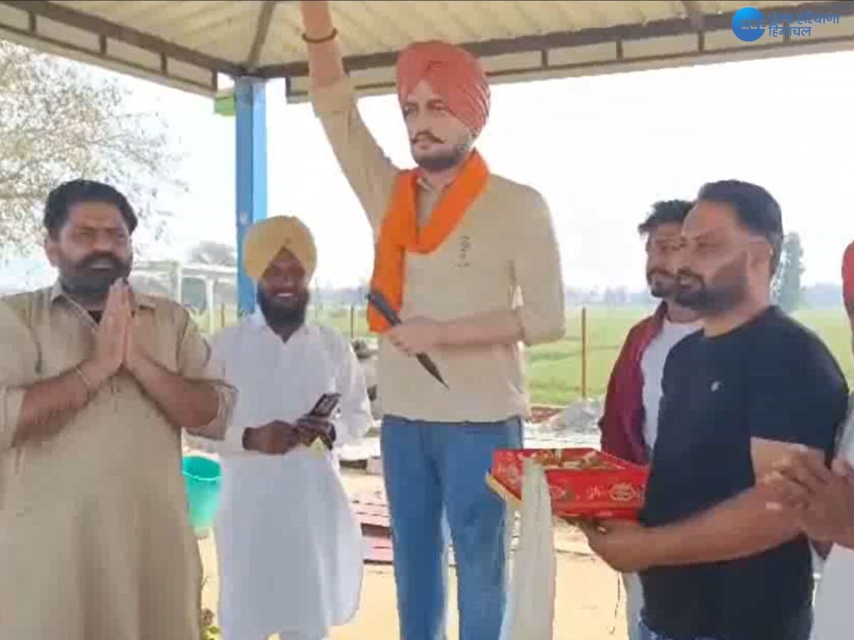 Sidhu Moosewala News: ਸਿੱਧੂ ਮੂਸੇਵਾਲਾ ਦੀ ਹਵੇਲੀ 'ਚ ਰੌਣਕਾਂ ਪਰਤਣ 'ਤੇ ਗਿੱਧਾਂ ਤੇ ਲੱਡੂ ਵੰਡੇ