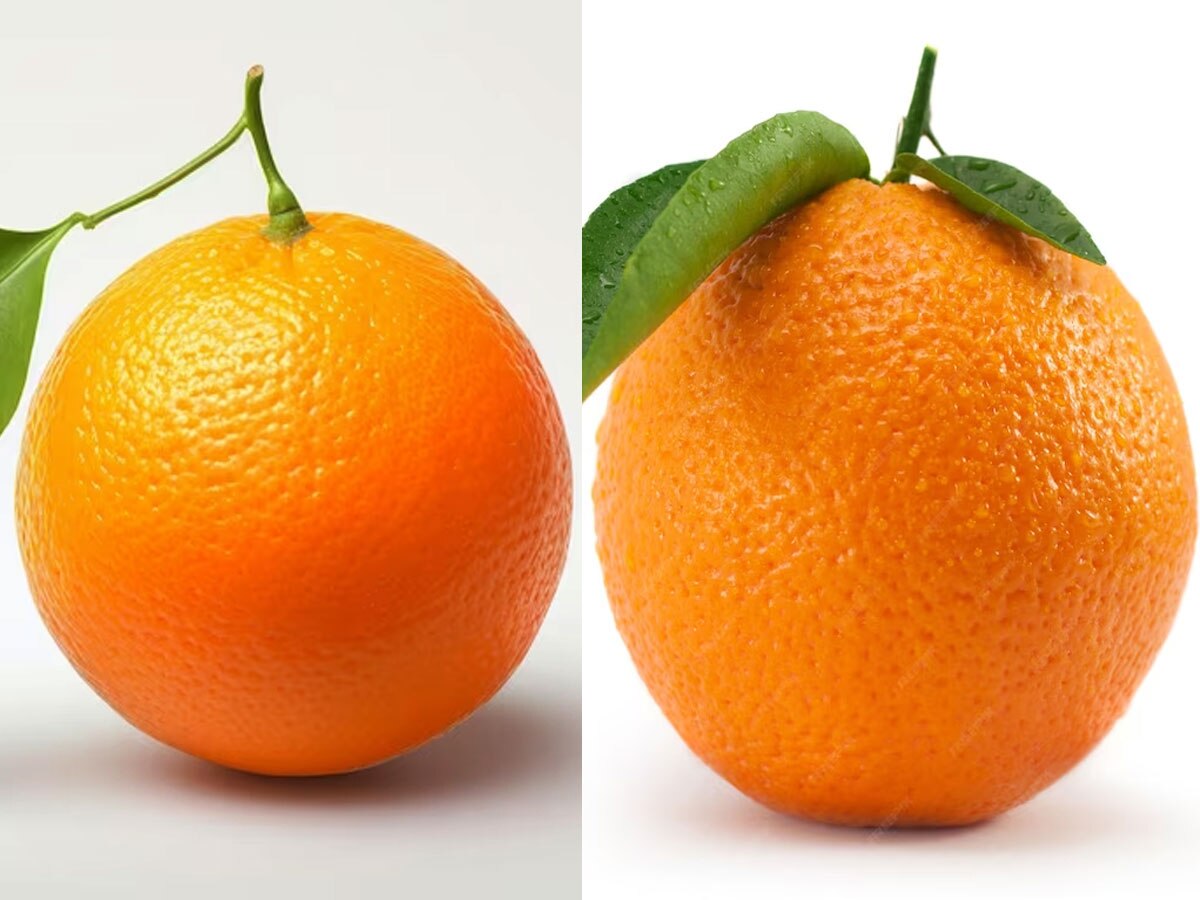 How To Differentiate Between Orange And Kinnow Fruit Tangerine एक जैसे लगते हैं संतरे और कीनू
