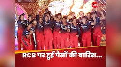 WPL चैंपियन बनने पर RCB को कितनी प्राइज मनी मिली? दिल्ली को हारने पर हुआ भारी नुकसान