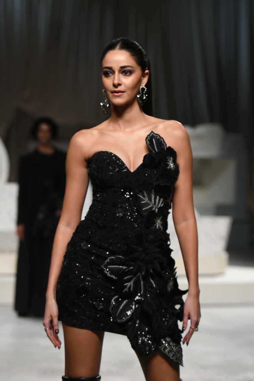 अनन्या की फिल्में