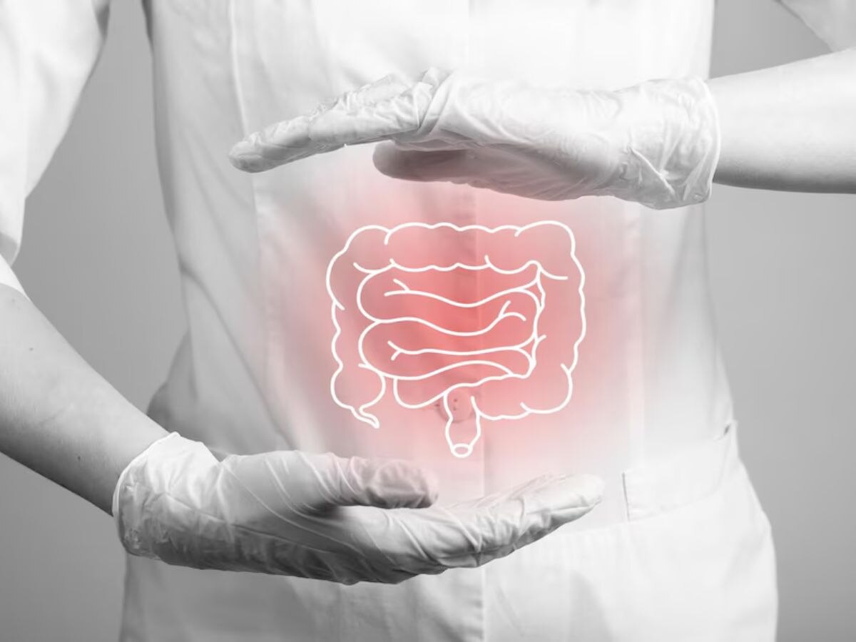 आंत में अच्छे बैक्टीरिया बढ़ाने में मदद कर सकती है हल्दी, लेटेस्ट रिसर्च का दावा