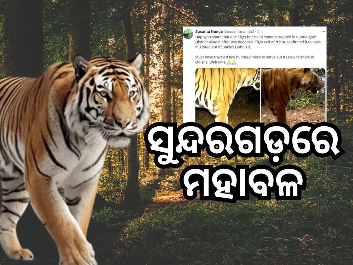 ସୁନ୍ଦରଗଡ଼ରେ ମହାବଳ, ସ୍ୱାଗତ କଲା ବନ ବିଭାଗ