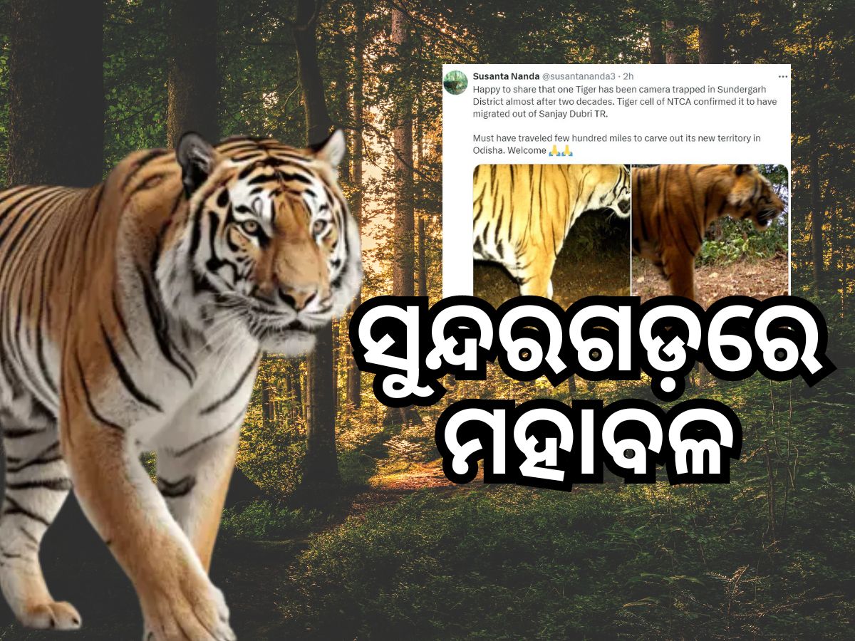 ସୁନ୍ଦରଗଡ଼ରେ ମହାବଳ, ସ୍ୱାଗତ କଲା ବନ ବିଭାଗ ସୁନ୍ଦରଗଡ଼ରେ ମହାବଳ, ସ୍ୱାଗତ କଲା ବନ ବିଭାଗ