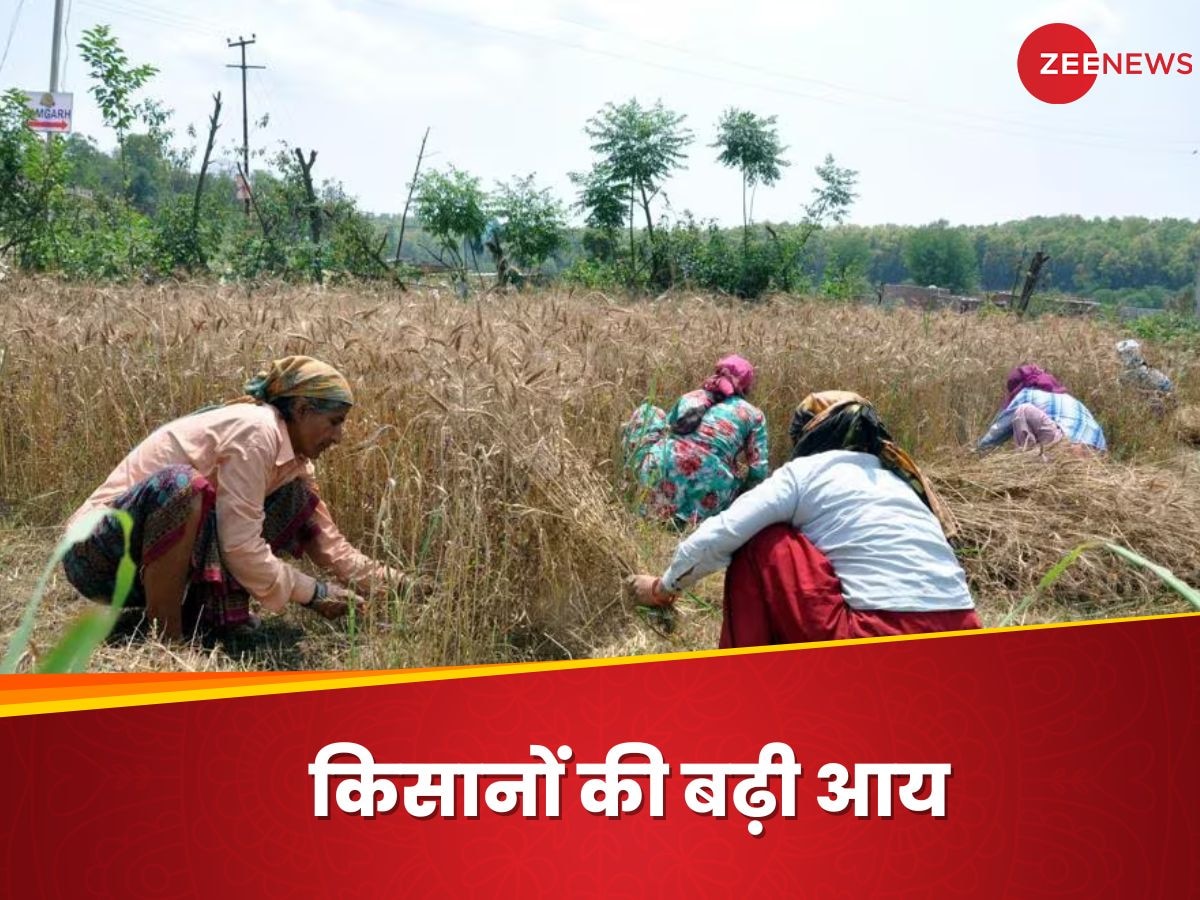 Farmers Income: किसानों की बढ़ गई इनकम, मोटे अनाज की खेती से हुआ फायदा, हर साल हो रही ज्यादा कमाई