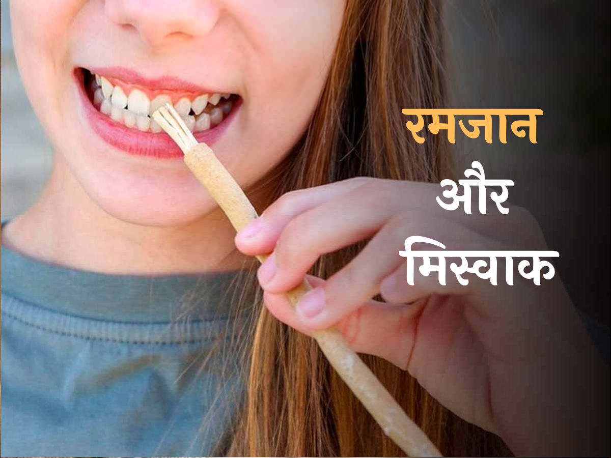रमजान में करें मिस्वाक का इस्तेमाल; मुंह की बदबू के साथ दूर होंगी ये बीमारियां रमजान में करें मिस्वाक का इस्तेमाल; मुंह की बदबू के साथ दूर होंगी ये बीमारियां