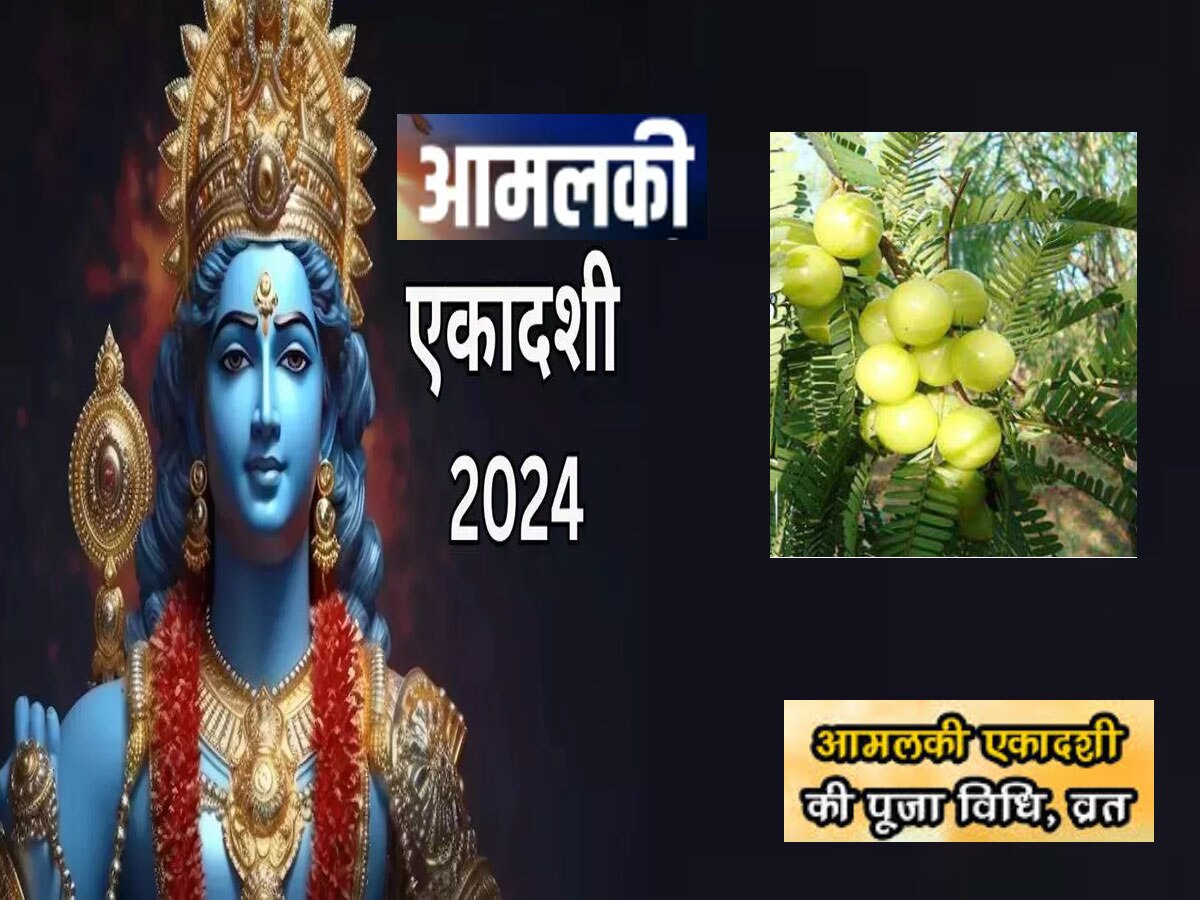 Amalaki Ekadashi 2024: आमलकी एकादशी के दिन क्या करें और क्या ना करें, आंवले से जुड़े धन प्राप्ति के महाउपाय