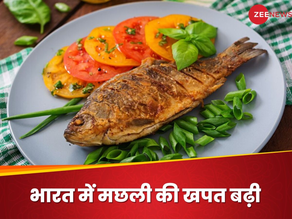 भारत में मछली खाने वालों की संख्या बढ़ी, सेहत के लिए किस तरह फायदेमंद है फिश?