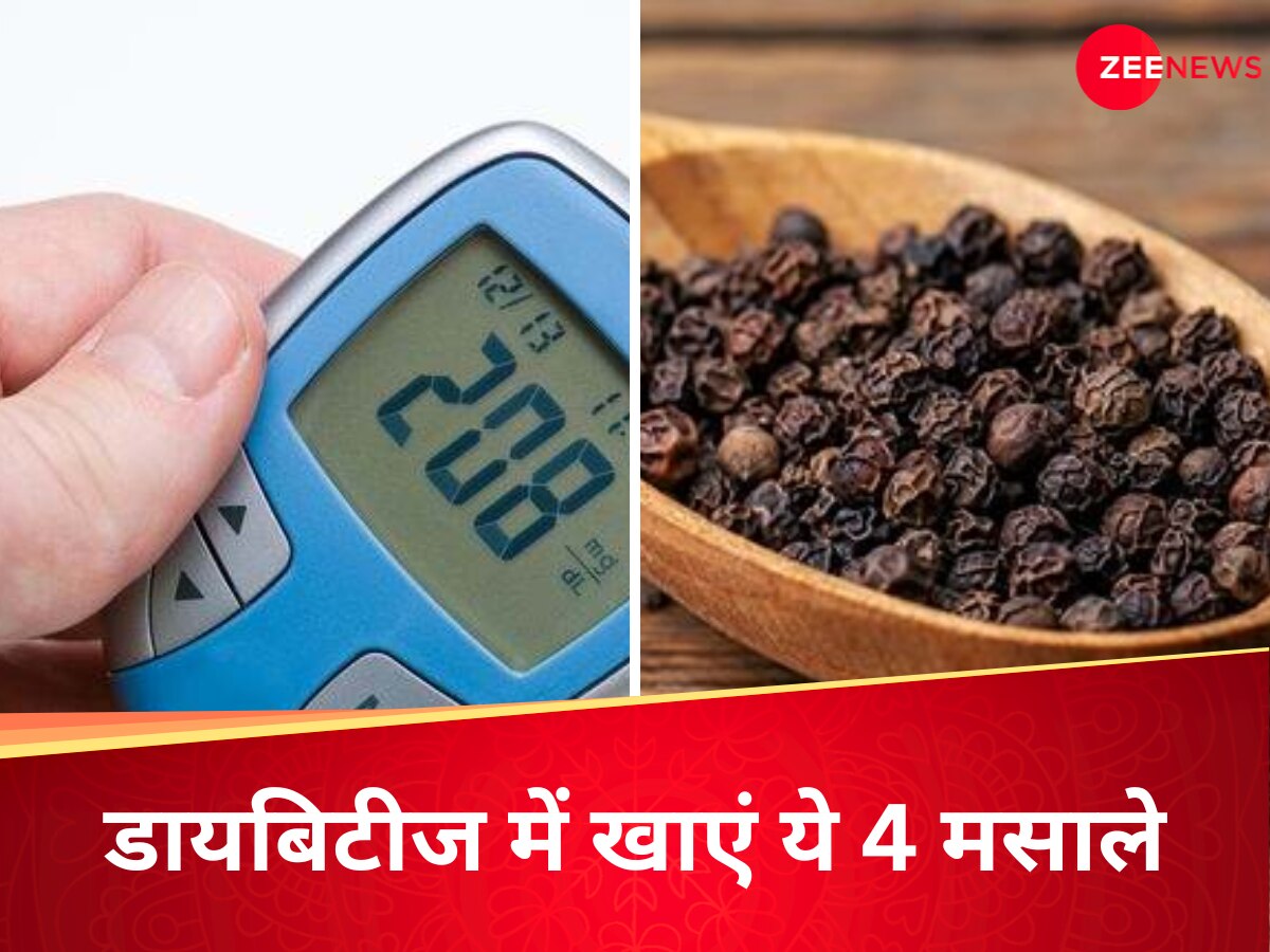 Ayurveda For Diabetes: डायबिटीज में दवा सा असर दिखाते हैं ये 4 मसाले, आयुर्वेद डॉ से जानें शुगर कंट्रोल करने के लिए कैसे खाएं