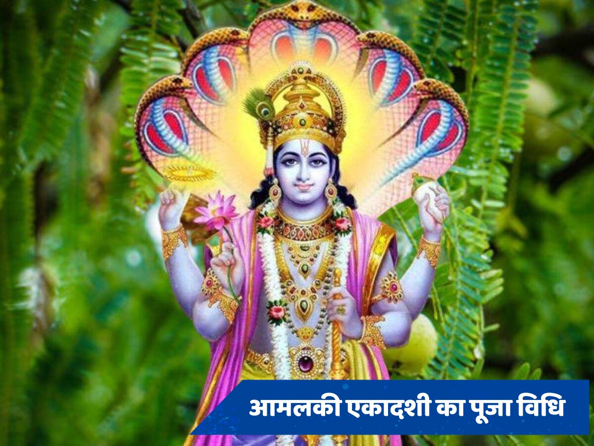 Amalaki Ekadashi 2024: आज है आमलकी एकादशी, जानें पूजा विधि, शुभ मुहूर्त और महत्व