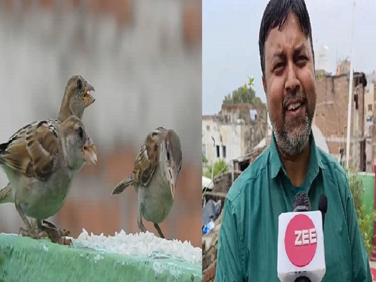 World Sparrow Day: गौरैया संरक्षण में जुटे भागलपुर के शिक्षक मुकेश, छत पर बनाया आशियाना, दाने पानी की करते है व्यवस्था