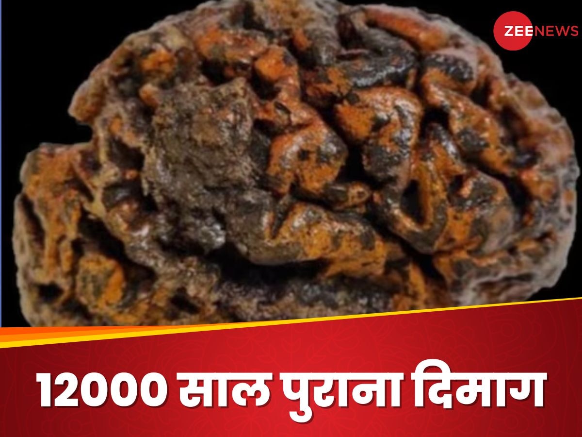 वैज्ञानिकों को मिला 12000 साल पुराना बचा हुआ मानव मस्तिष्क, मिले चौंकाने वाले फैक्ट्स