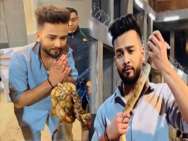 Snake Venom Case: एल्विश यादव के खिलाफ शिकायत दर्ज कराने वाले गुप्ता ब्रदर्स को धमकी भरे कॉल, कोर्ट का खटखटाया दरवाजा