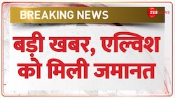 Elvish Yadav Bail: एल्विश यादव को मिली जमानत 