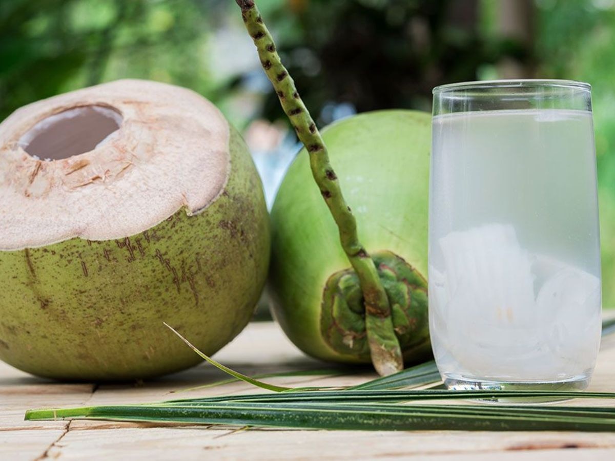 Benefits of Coconut Water: नारियल पानी पीने के ये 5 फायदे जानकर आप इसे अपना बना लेंगे 