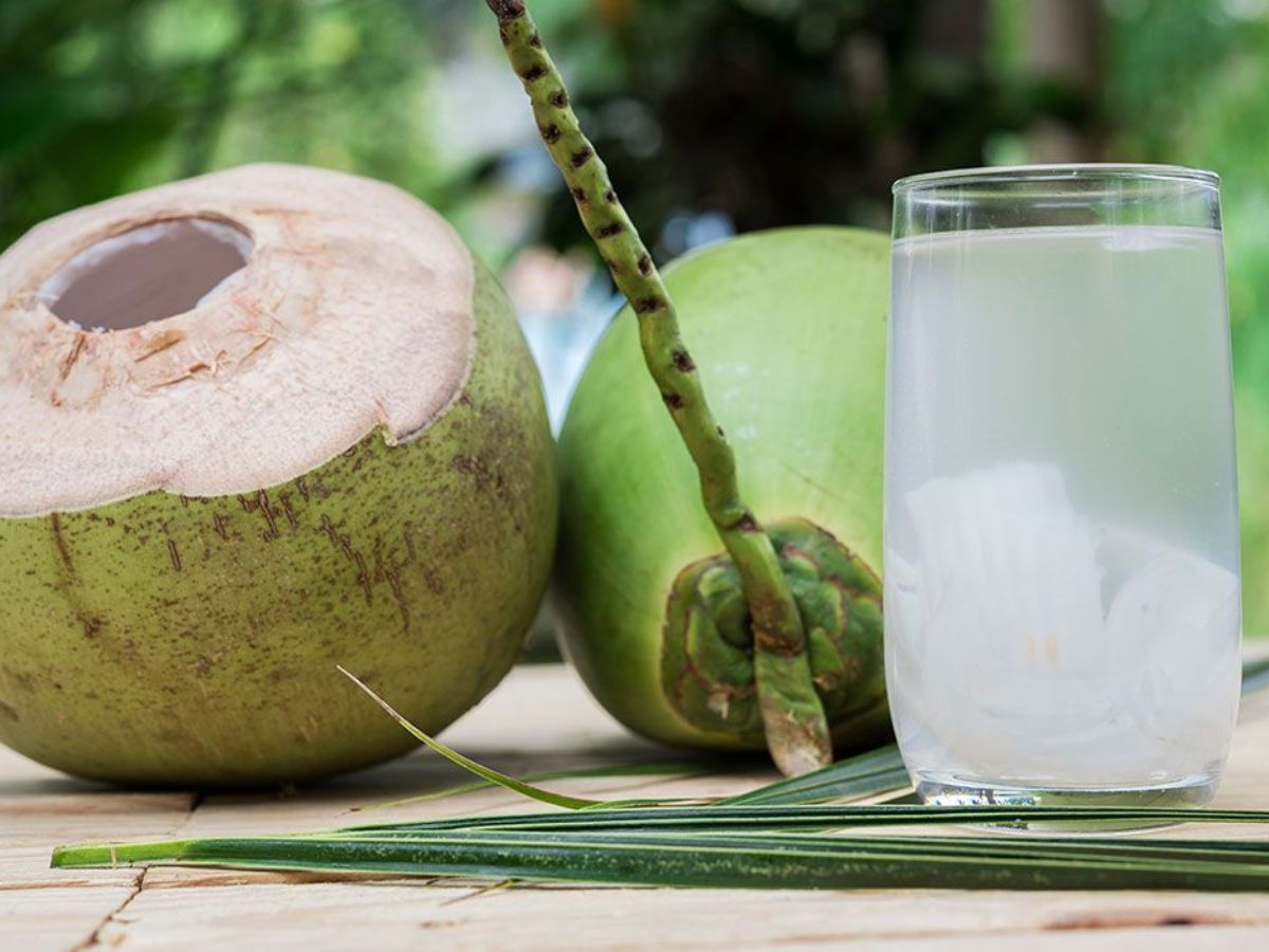 Benefits of Coconut Water: नारियल पानी पीने के ये 5 फायदे जानकर आप इसे अपना बना लेंगे Benefits of Coconut Water: नारियल पानी पीने के ये 5 फायदे जानकर आप इसे अपना बना लेंगे