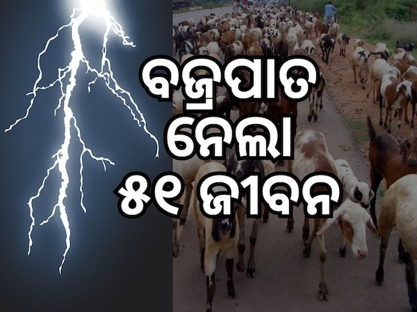 ତାଣ୍ଡବ ରଚିଲା କାଳ ବୈଶାଖୀ: ଭଞ୍ଜନଗରରେ ୫୦ ଛେଳି ଏବଂ ରାଉରକେଲାରେ ଜଣେ ବ୍ୟକ୍ତିଙ୍କ ମୃତ୍ୟୁ