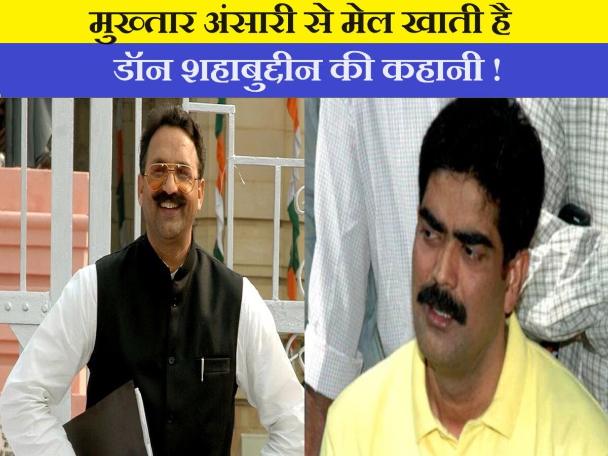 Md Sabuddin Raj Bihar don Mohammad Shahabuddin story is very similar to UP Don Mukhtar ...