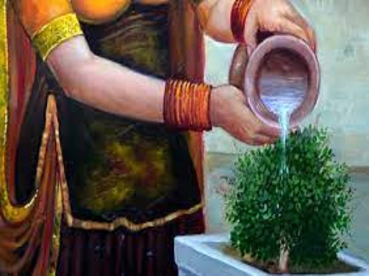 tulsi water offering tips