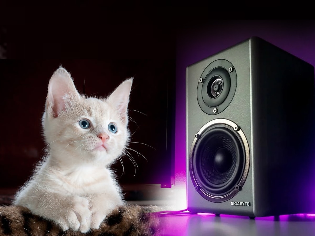 पालतू जानवरों के लिए खतरनाक है Bluetooth Speakers ? रिसर्च में हुआ चौंकाने वाला खुलासा