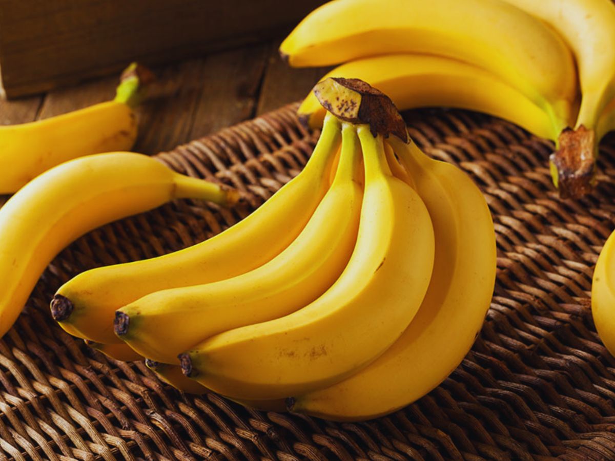 Benefits of Banana: केला है एक सम्पूर्ण आहार; ये 5 फायदे बढ़ा देते हैं इसकी अहमियत Benefits of Banana: केला है एक सम्पूर्ण आहार; ये 5 फायदे बढ़ा देते हैं इसकी अहमियत
