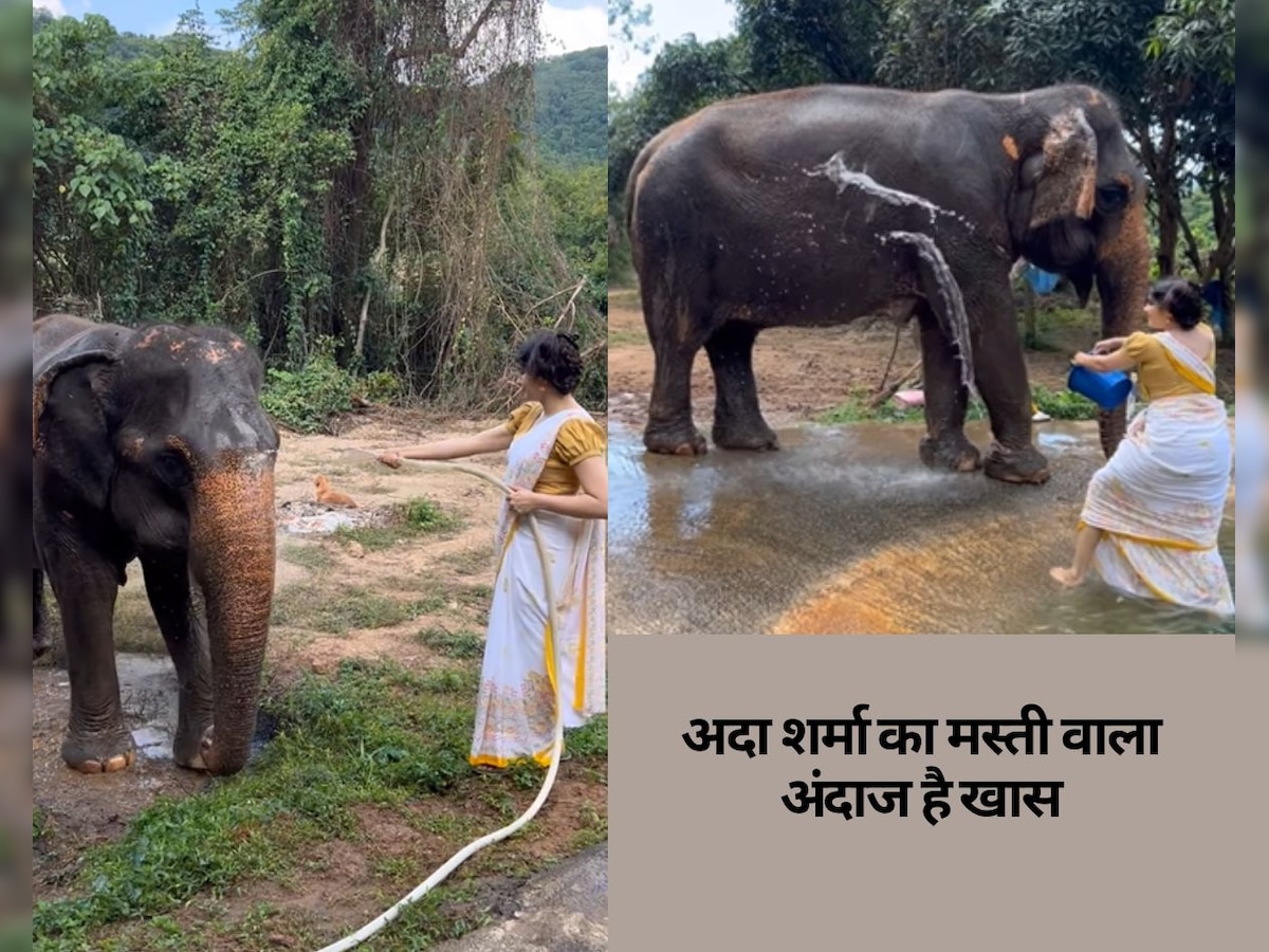 हाथी पर पानी डालकर मस्ती करती दिखीं अदा शर्मा, वायरल वीडियो देख फैंस बोले - '3 टंकी लग गई होगी'