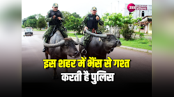 Interesting Facts: कार या बाइक से नहीं यहां भैंस पर गश्त करती है पुलिस, जानें कहां 