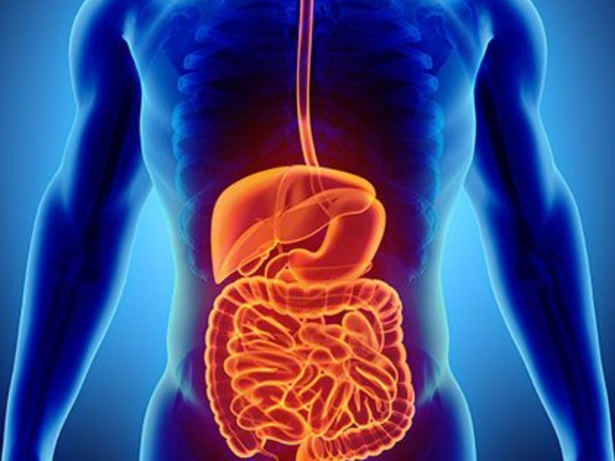 आंतों को साफ