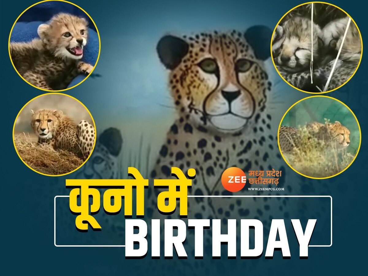 कूनो में मुखी शावक का मनाया जन्मदिन 