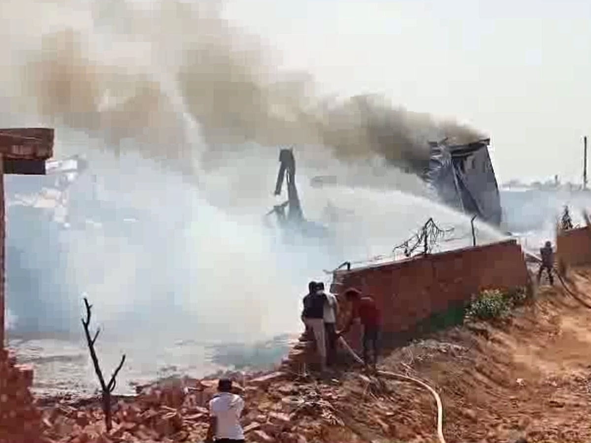 Bhiwani Fire: गद्दा फैक्ट्री में लगी भीषण आग, कई गायों की झुलसने से मौत 
