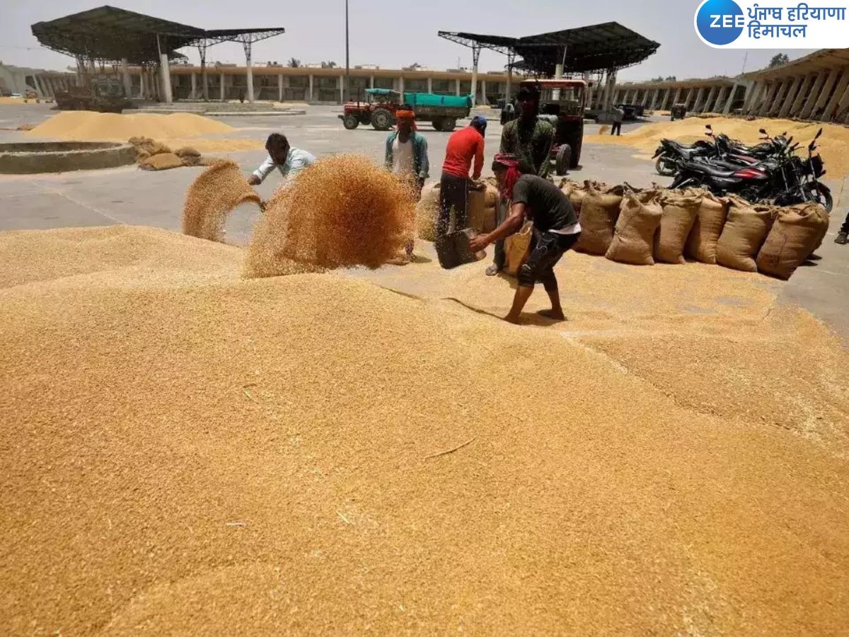 Wheat Grains Procurement: ਅੱਜ ਤੋਂ ਪੰਜਾਬ ਵਿੱਚ ਕਣਕ ਦੀ ਸਰਕਾਰੀ ਖਰੀਦ ਸ਼ੁਰੂ, ਮੰਡੀਆਂ ਵਿੱਚ ਪੁਖ਼ਤਾ ਪ੍ਰਬੰਧ