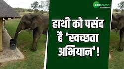 अगर आप भी रखते हैं अपने आसपास गंदगी, तो इस हाथी को देख लें एक बार, आ जाएगी शर्म!  