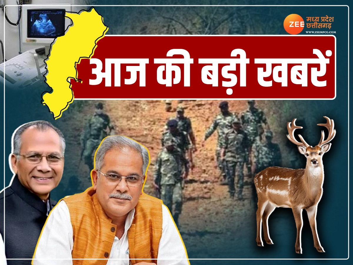 Chhattisgarh Top News: चुनाव से पहले नक्सली मुठभेड़; नामांकन की चर्चाओं ने पकड़े रहा जोर; पढ़ें बड़ी खबरें