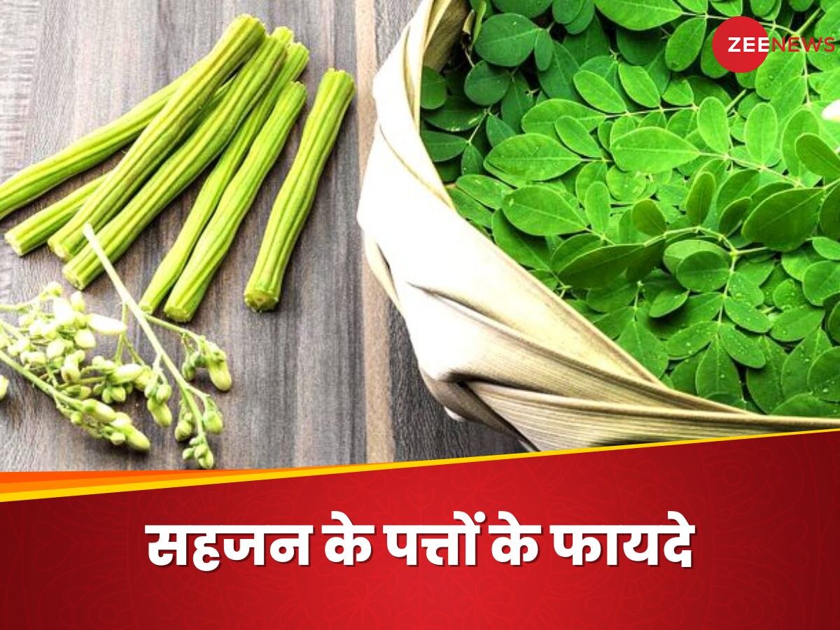 Moringa Leaves: हमें सहजन के पत्ते क्यों खाने चाहिए? डाइटीशियन से जानें 6 फायदे