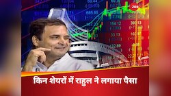 सियासत ही नहीं शेयर बाजार में अंबानी-अडानी से राहुल गांधी की बेरुखी, TATA पर भरोसा 