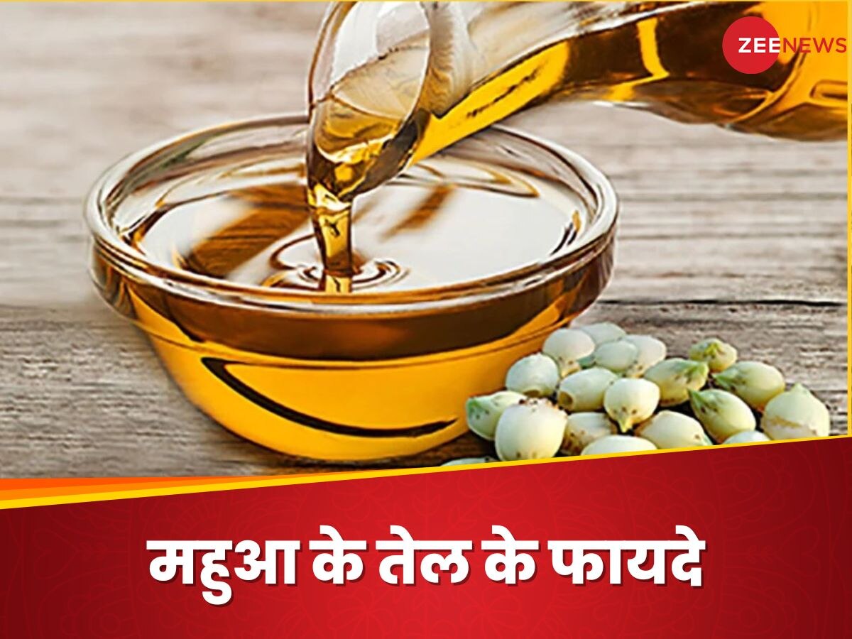 Mahua Oil: कभी आपने इस्तेमाल किया है महुआ का तेल? 5 तरह से उठा सकते हैं फायदा