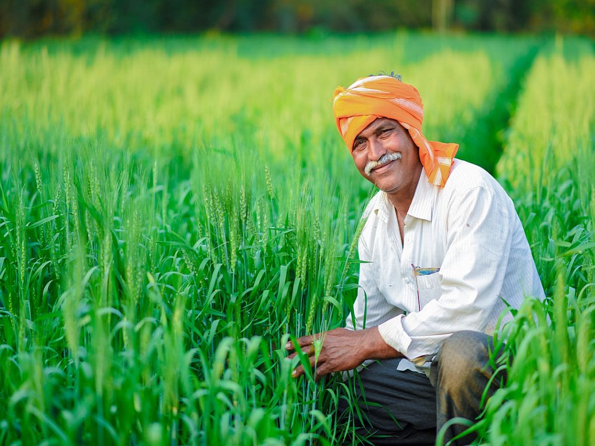 Rajasthan News: क्या है कृषि विभाग की कवायद, कितना मिल रहा है किसानों को फायदा? जानें सबकुछ 