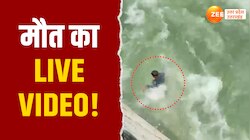 Video: रील बनाने के लिए नदी में कूदा, लेकिन जो हुआ उसे जानकर ऐसा नहीं करेंगे आप ! 