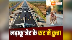 लड़ाकू विमानों के सामने आया कुत्ता, हवाई पट्टी पर अभ्यास के बीच मचा हड़कंप