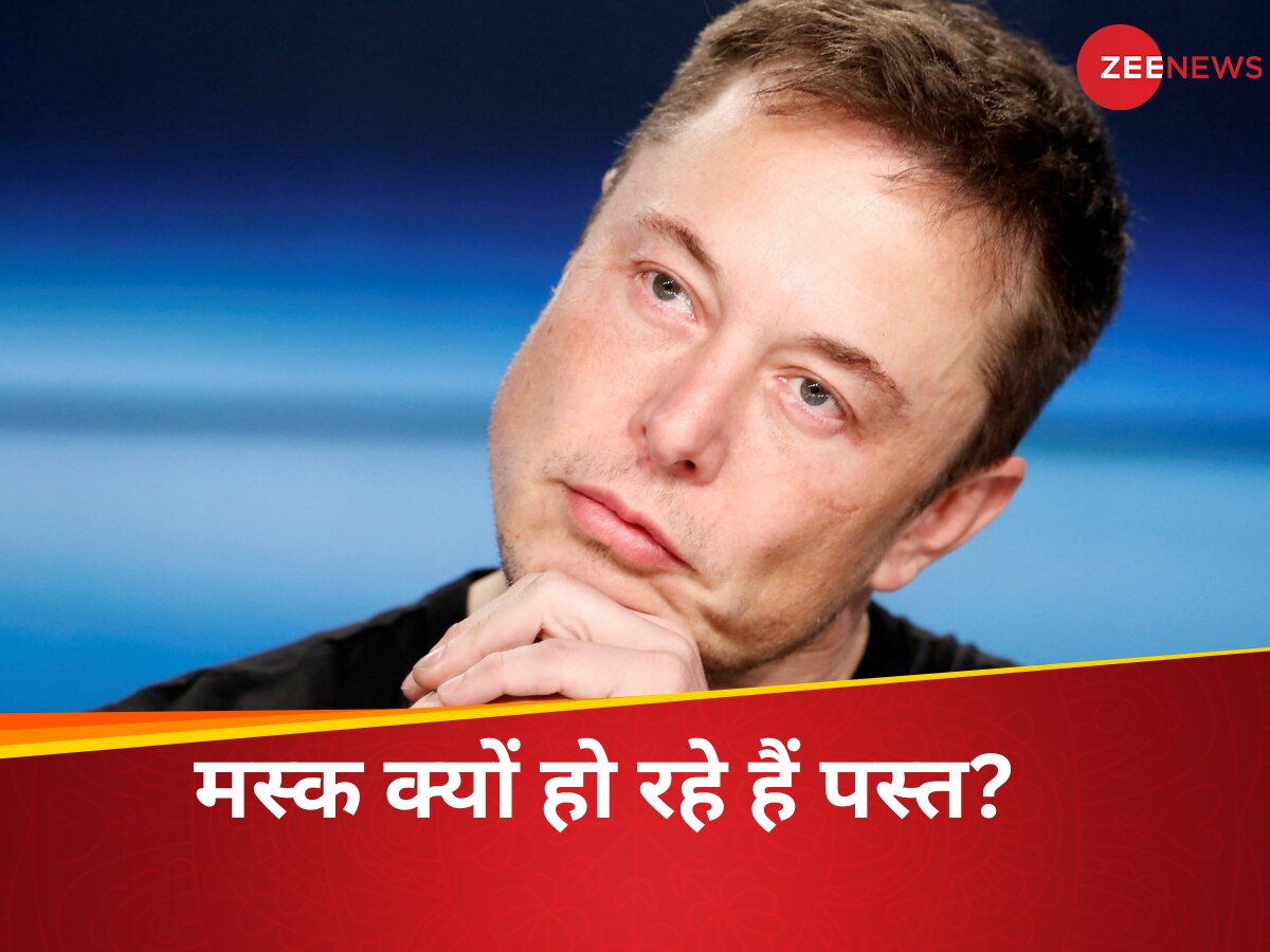 elon musk net worth