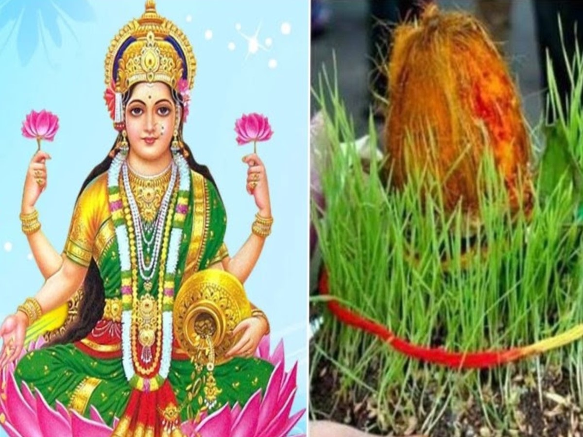 chaitra navratri 2024 jaware importance barley color sown during ...